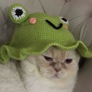 Meet your Posher, Victoria